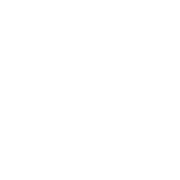 NG Analytics